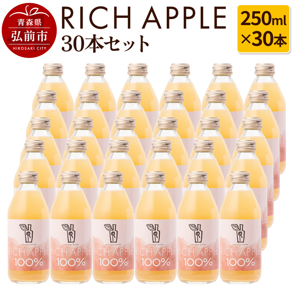 りんごジュース RICH APPLE 30本セット（250ml×30本） [アップル おいしい ジュース セット セット品 りんご 飲料 果実 果物 美味 林檎]
