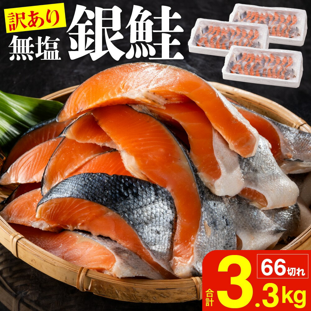 【ふるさと納税】【訳あり】海鮮返礼品 銀鮭切身 (打ち身、色飛び、カマ入) 約3.3kg 【 鮭 シャケ さけ サーモン 海鮮 魚 魚介 切り身 冷凍 規格外 不揃い 燕三条 新潟県 燕市 】