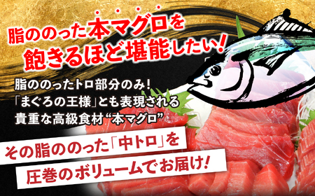 【定期便/計12回】本マグロ訳あり中トロ1kg（計12kg）【DG007-t12】