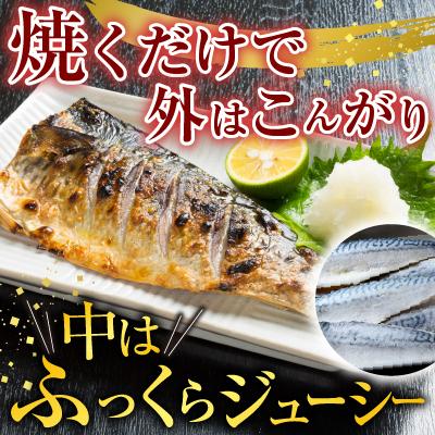 ふるさと納税 根室市 塩さばフィーレ11枚入×1P(計約1.5kg) G-11021 |  | 02