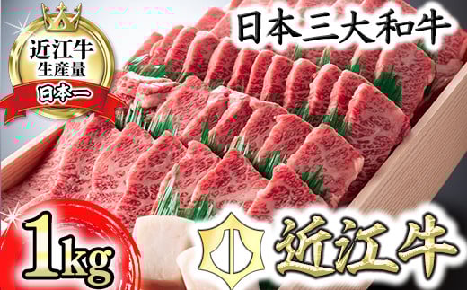 
            近江牛 バラ 焼肉 希少部位 1kg 折箱入り 【H010W】 ( 近江牛 バラ 焼肉 特上 贈答 和牛 黒毛和牛 ブランド 牛肉 近江牛 贈り物 ギフト 国産 近江牛 滋賀県 近江牛 近江八幡市 近江牛 霜降り 神戸牛 松阪牛 に並ぶ 日本三大和牛 ふるさと納税 )
          