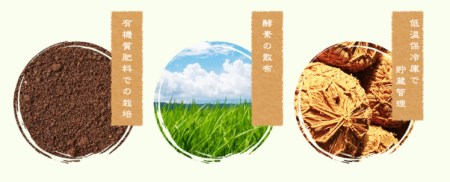 ふくい農園のおいしいお米（コシヒカリ） 10kg お米