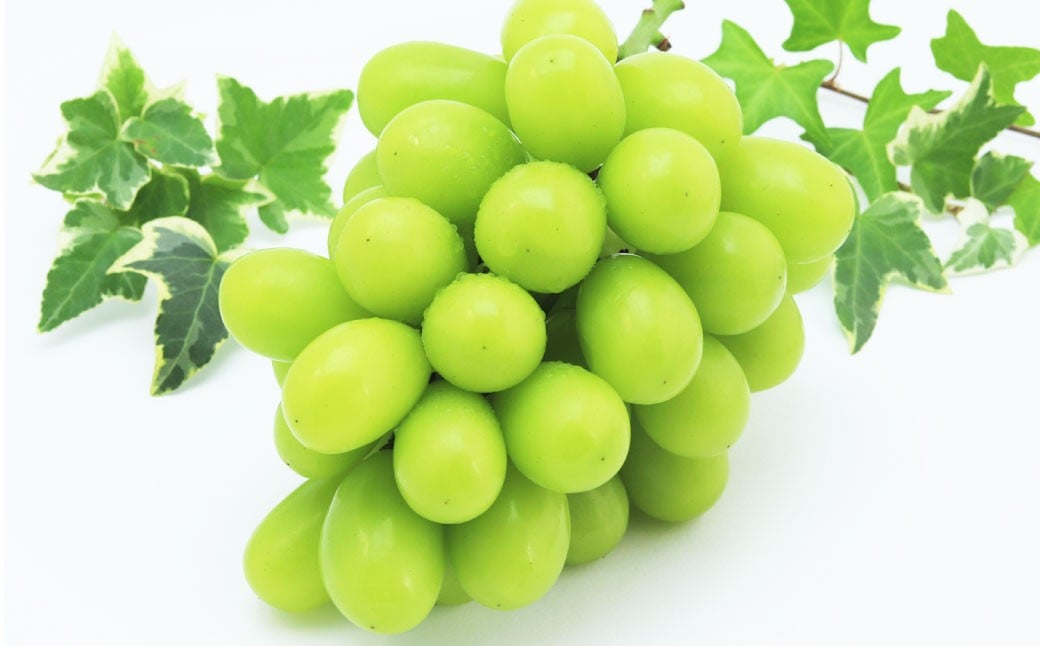 
            岡山県産 シャインマスカット 1房 ・ 桃太郎ぶどう 1房 （合計約1kg） 【2026年8月上旬～11月上旬まで順次発送予定】 葡萄 ぶどう ブドウ マスカット 果実 フルーツ 果物 種なし 皮ごと 大粒 セット 岡山県 倉敷市 冷蔵
          