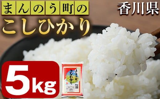 
＜令和5年産＞香川県まんのう町産 コシヒカリ(5kg) 【man027】【香川県食糧事業協同組合】
