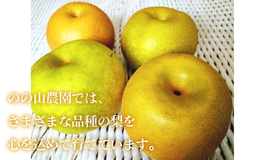 のの山農園「あたご梨」 ／あたご梨 梨 なし 赤梨 大玉 果物 フルーツ 2個入り 産地直送 旬 甘み みずみずしい 食感 のの山農園 No.067