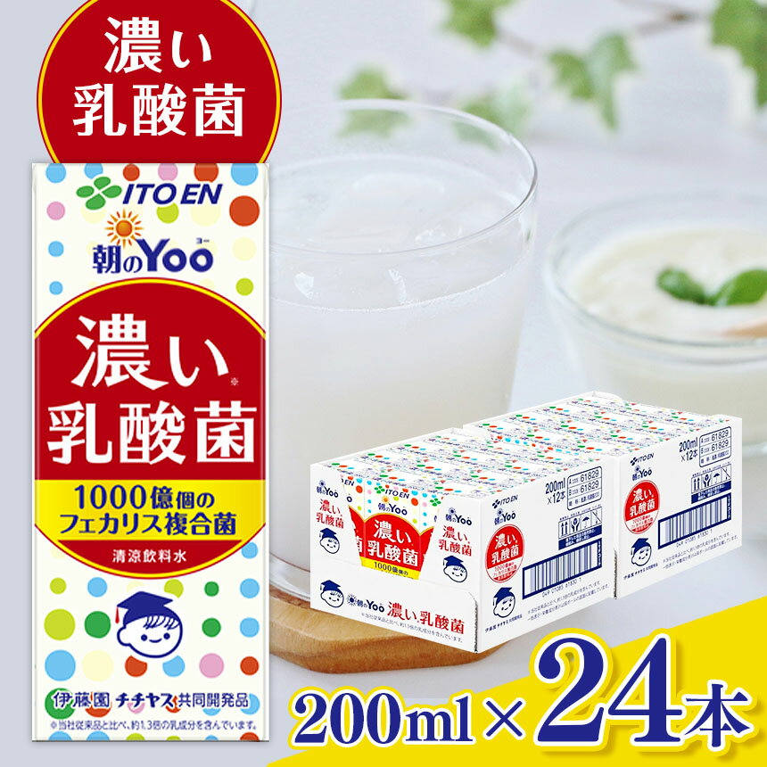 【ふるさと納税】紙 朝のYoo 濃い 乳酸菌 200ml × 24本 | 乳酸菌 乳製品 乳性飲料 乳飲料 飲料 ドリンク 濃い 朝 健康 ふるさと納税 信州 長野県 松本市