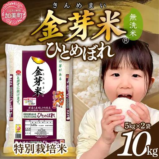 【令和8年産】ひとめぼれ 無洗米 10kg ｜ ひとめぼれ