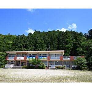 ラリージャパン【額田SS日近の里観戦券/大人1名+子ども1名/マイカー乗入(乗用車)形埜小学校駐車】【1712737】