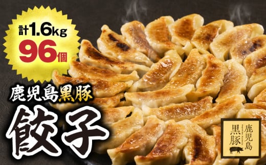 1289-1 鹿児島黒豚 餃子 1.6kg＜96個＞　KN054-004