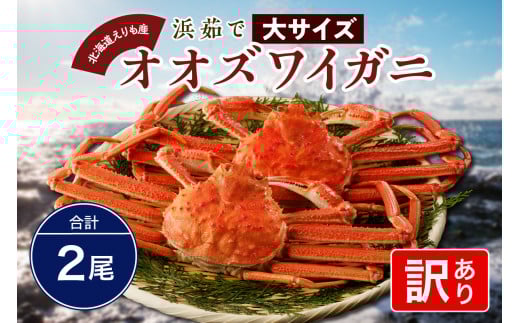 『訳あり』浜茹でオオズワイガニ２尾【えりも産】【er004-049-a】