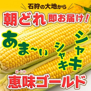 とうもろこし スイートコーン「恵味ゴールド」6本