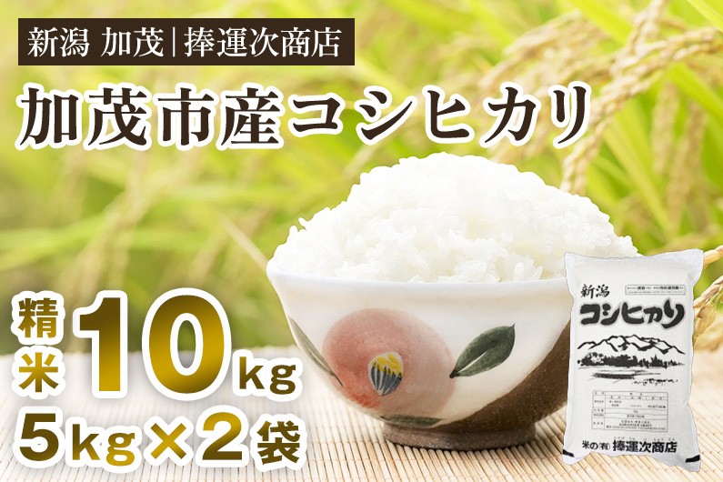 
            【令和7年産新米】加茂市産コシヒカリ 精米10kg 《順次出荷》 こしひかり 新潟米 お米 白米 ライス ご飯 加茂市 捧運次商店
          