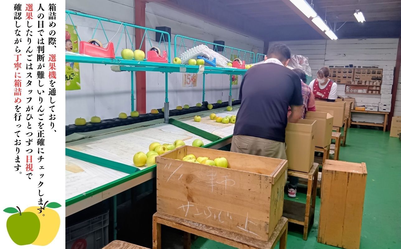 4月 発送【訳あり】家庭用有袋ふじ約2kg