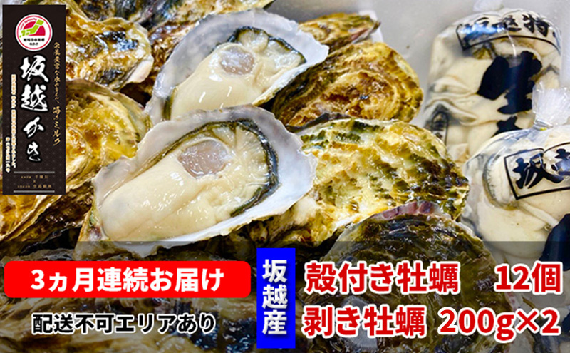 定期便 牡蠣 坂越かき 剥き牡蠣 200g×2、殻付き牡蠣 12個 オイスターナイフ付き【3ヵ月連続お届け】[ 生牡蠣 かき カキ 生食 冬牡蠣 ] 魚貝類 