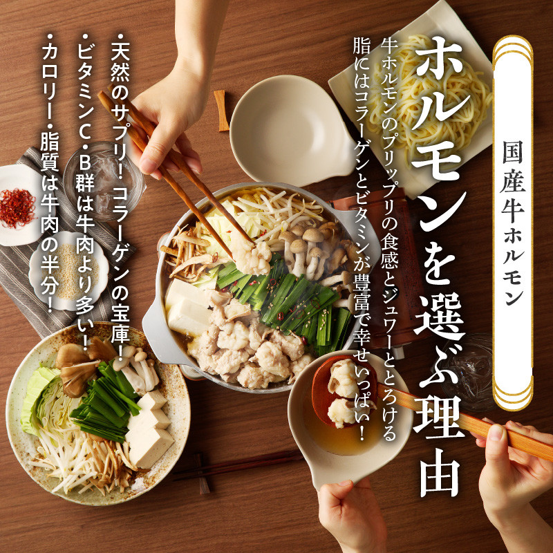 山樹のしょう油もつ鍋　5～6人前セット