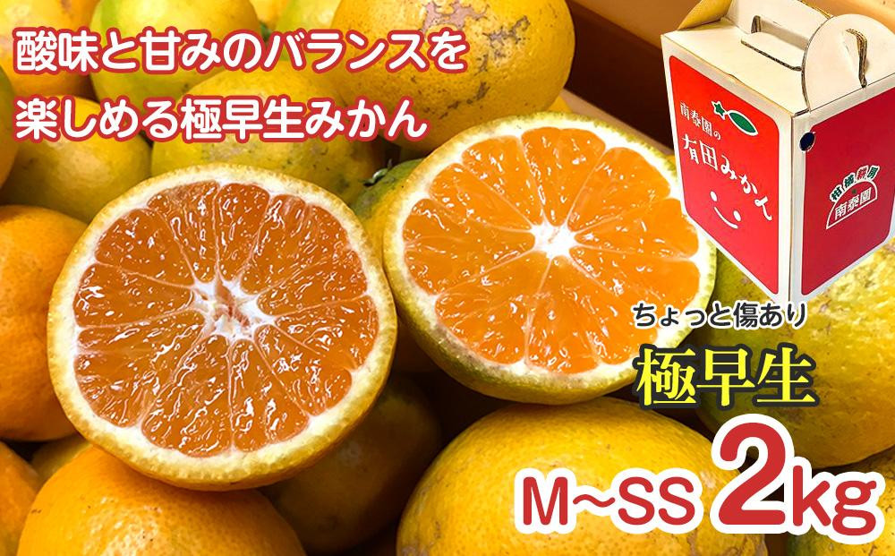 【 4年間 有田みかん 3種 食べくらべ ／ 全12回 】 ちょっと 傷あり 2kg × 3回 × 4年 コース 南泰園 みかん