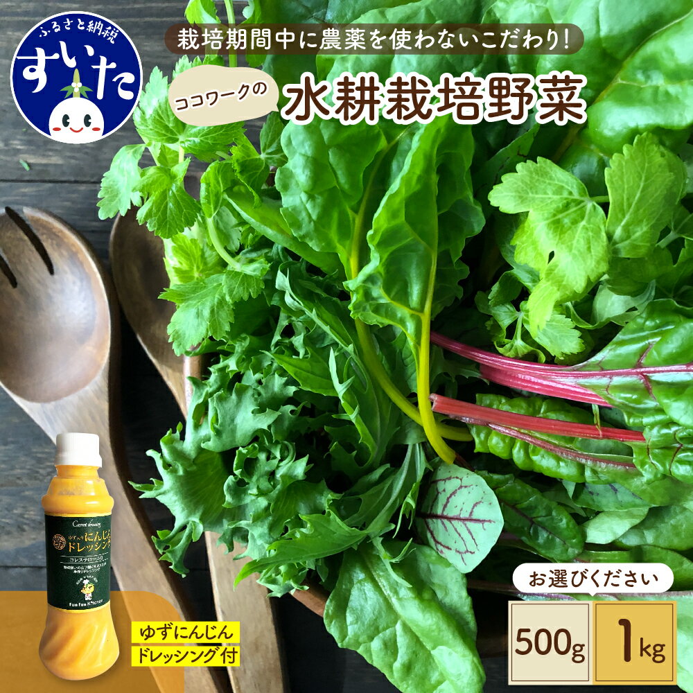 【ふるさと納税】【内容量が選べる】ココワーク の 水耕栽培 野菜 500g 1kg ゆず にんじん ドレッシング 付 農薬不使用 さっと洗うだけ 食べやすい 送料無料 お取り寄せ 大阪府 吹田市