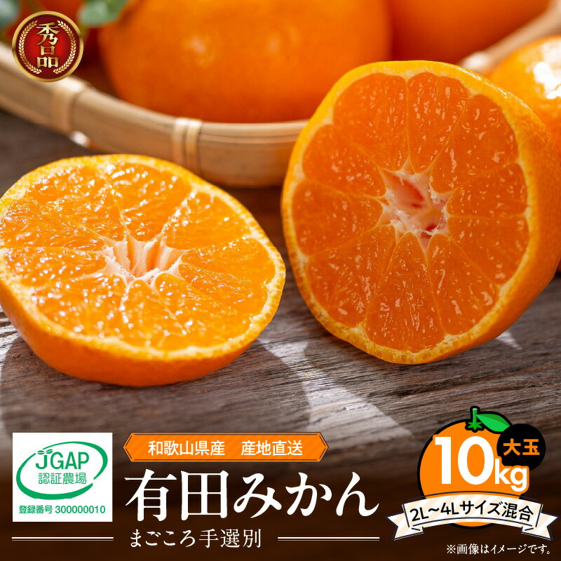 【ふるさと納税】【限定】【2025年先行予約】和歌山県産 有田みかん 10kg 2L～4Lサイズ混合 大玉【ミカン 蜜柑 温州みかん 柑橘 和歌山】