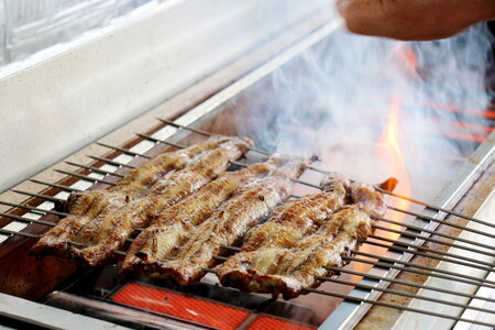【3ヶ月定期便】国産うなぎの地焼き長蒲焼2尾×3回 ※離島への配送不可