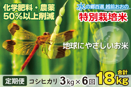 【令和5年産】【6ヶ月定期便】こしひかり 3kg × 6回 計 18kg【白米】減農薬・減化学肥料「特別栽培米」－地球にやさしいお米－[B-003002]