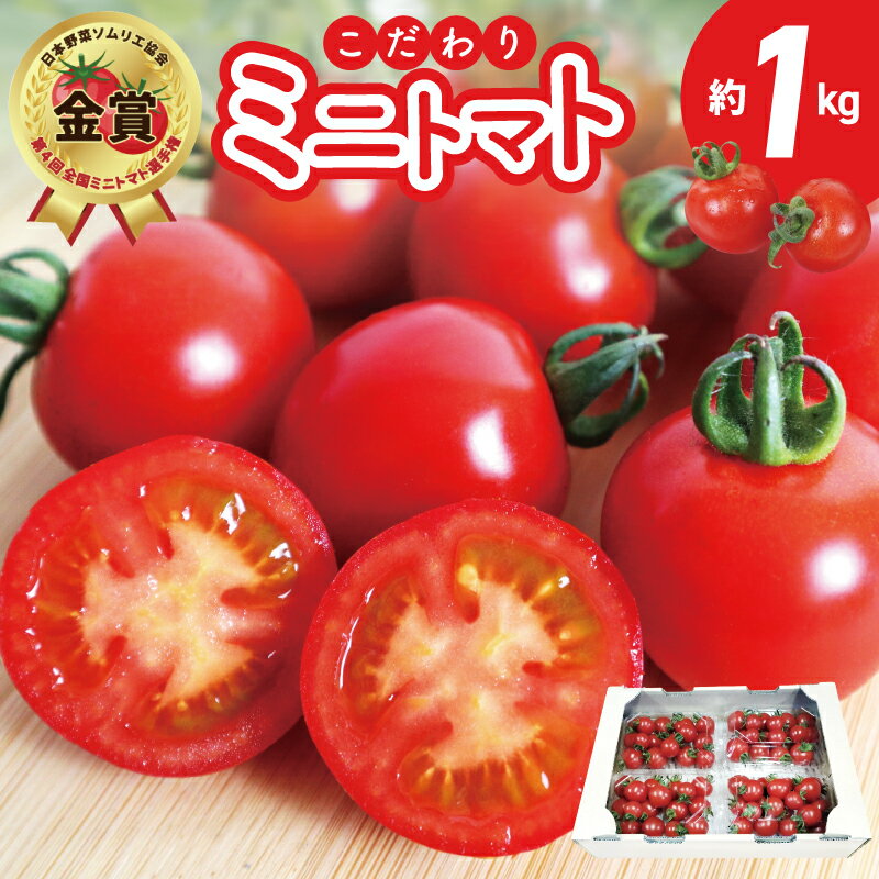 【ふるさと納税】先行予約 こだわり ミニトマト 4パック 合計 約 1kg 新鮮 食べごろ 好評 まるでフルーツ 甘い 厳選 期間限定 数量限定 野菜 トマト サラダ 食べ物 食品 お取り寄せ 冷蔵 カピバラファーム 泉佐野産 国産 大阪府 泉佐野市 送料無料
