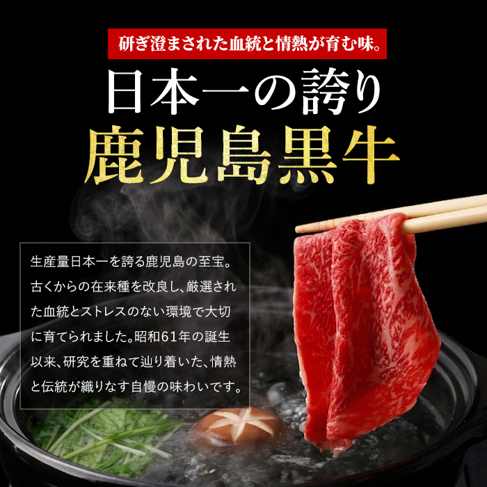 鹿児島黒牛モモスライスセット600g(JAいぶすき/IB045-001)L1201