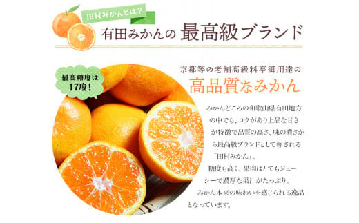 みかん 高級ブランド 田村みかん 5kg【予約】 ※2026年11月下旬～2027年1月下旬頃に順次発送予定 / みかん ミカン 有田みかん 温州みかん 田村みかん ブランドみかん フルーツ 果物 く