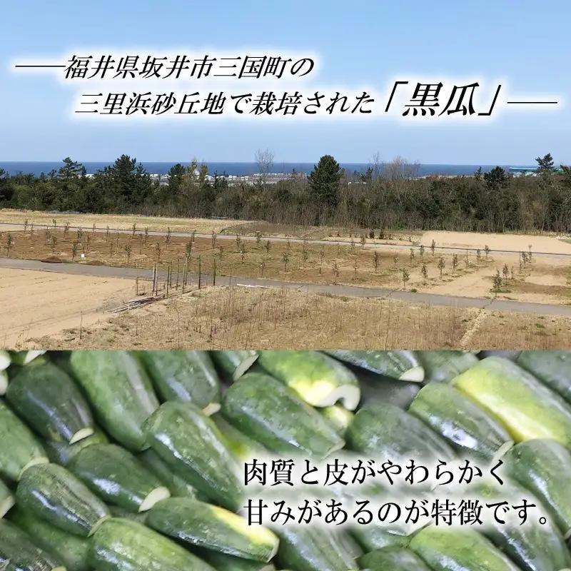 産地直送の「黒瓜の粕漬け」 1kg 【数量限定品】漬物 野菜 [A-0702]