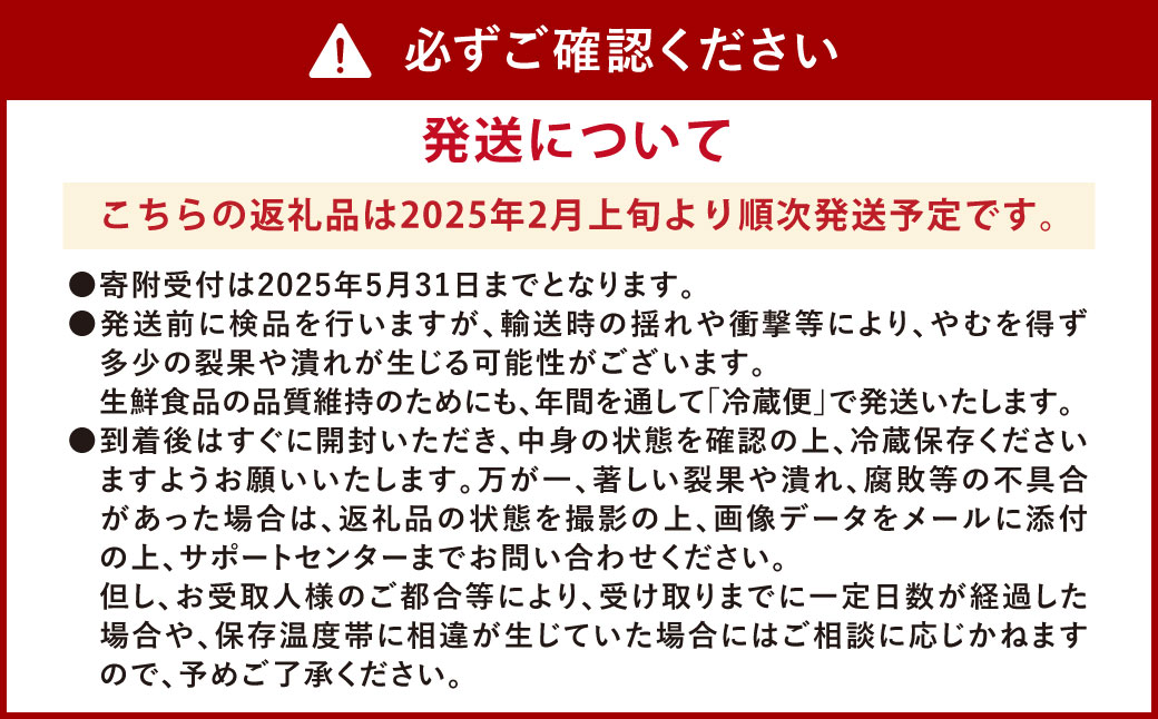 ソムリエ トマト 4kg × 2箱 合計8kg とまと トマト 野菜 やさい 熊本県産 国産 【2025年2月上旬発送開始】