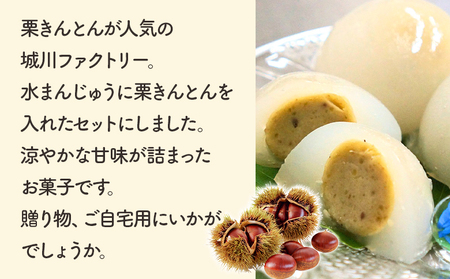 ＜栗きんとん水まんじゅう 6個＞ 水饅頭 みずみずしい美味しさ 涼やか ぷるぷるのひんやり食感 冷菓 涼しげなお菓子 栗菓子 マロン くり 和栗 スイーツ 和菓子 お土産 秋 城川町 県産 城川ファク