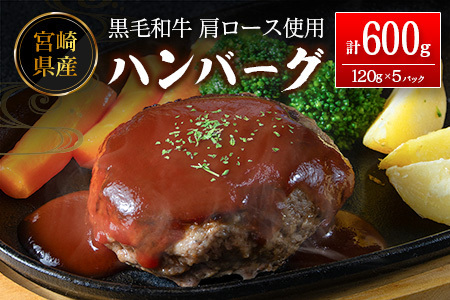 ハンバーグ 120g×5P 肉 肩ロース使用 A342
