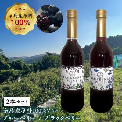 ふるさと納税 糸島市 糸島産 ブルーベリー/ブラックベリー ワイン 720ml×2種セット[AHM001]