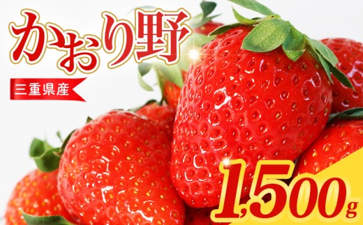 【先行予約】 いちご 250g×6パック かおり野 苺 数量限定 新鮮 産地直送 厳選 フルーツ 果物 くだもの 贈答用 贈答品 贈答 ギフト プレゼント 国産 三重県 伊勢 志摩 南伊勢町 10000円台 一万円台