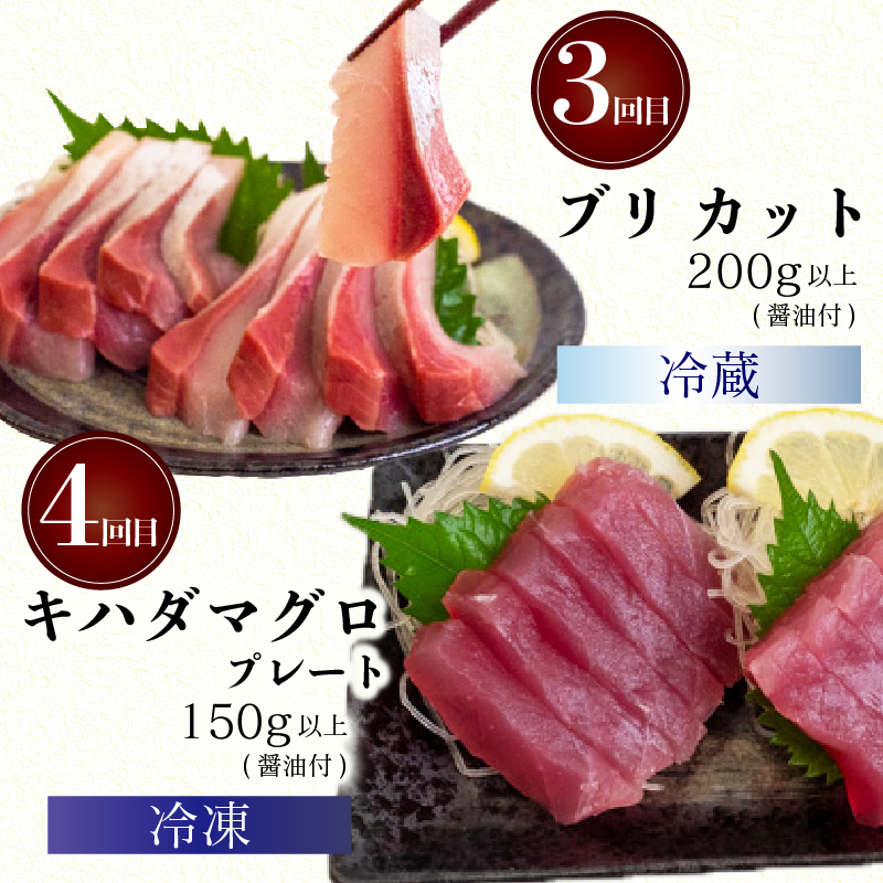 4ヶ月 定期便 旬 魚 刺身定期便 鮮魚