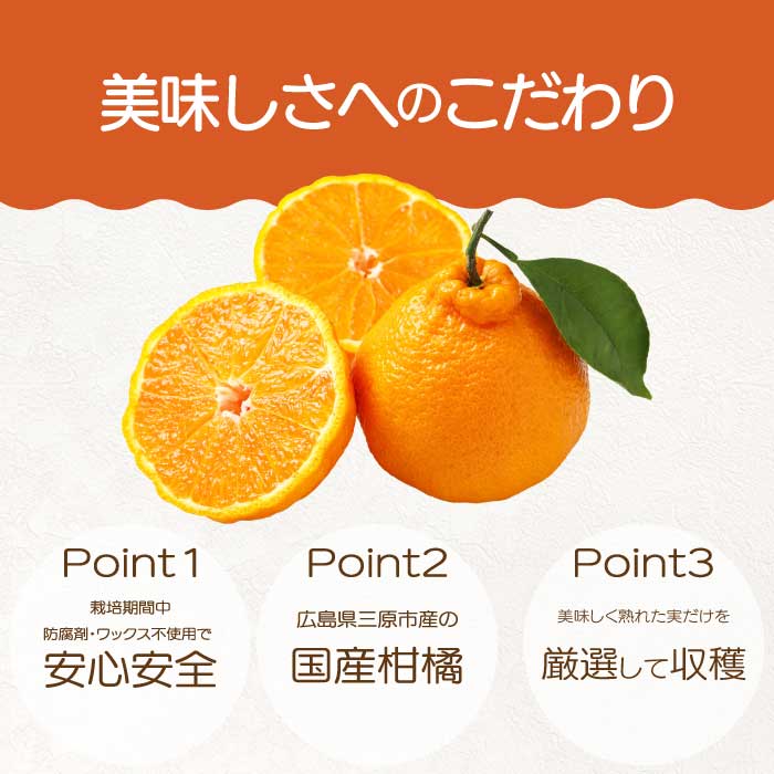 【おくはち農園】〈訳あり〉不知火（しらぬい） 4.5kg 《2027年3～4月発送予定》栽培期間中 防腐剤 ワックス 不使用 旬 柑橘 かんきつ フルーツ 果物 瀬戸内 166010