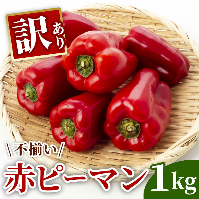 【ふるさと納税】先行予約 訳あり ふぞろい赤ピーマン 1kg 野菜 農家直送 ふるさと納税 炒め物 肉詰め 回鍋肉 ホイコーロー 栄養豊富 9月〜発送 送料無料 岩手県 一関市