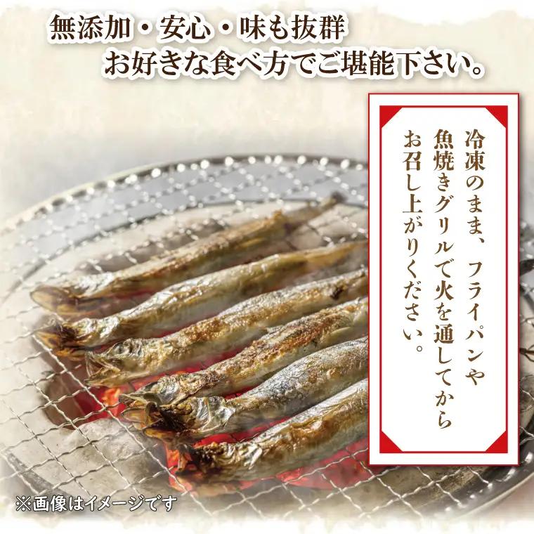 【数量限定！】 子持ち カラフトシシャモ 3kg (500g×6袋) 訳アリ シシャモ ししゃも カラフトししゃも 大洗 規格外 訳あり わけあり 傷_AV011