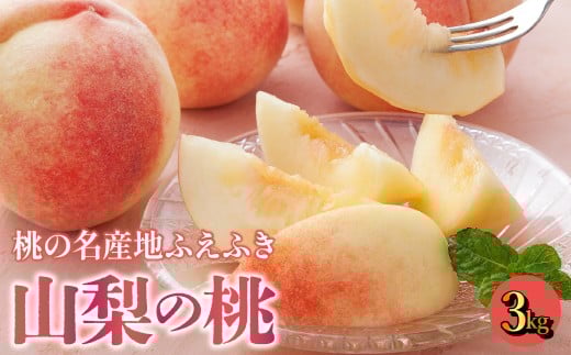 【2026年発送★先行予約】【鮮度バツグン】桃名産地 山梨の桃 約3kg【農家直送】 おすすめ ランキング もも 桃 笛吹市 国産 人気 期間限定 果物 フルーツ おやつ デザート ピーチ 旬 山梨県 送料無料 109-016-26y