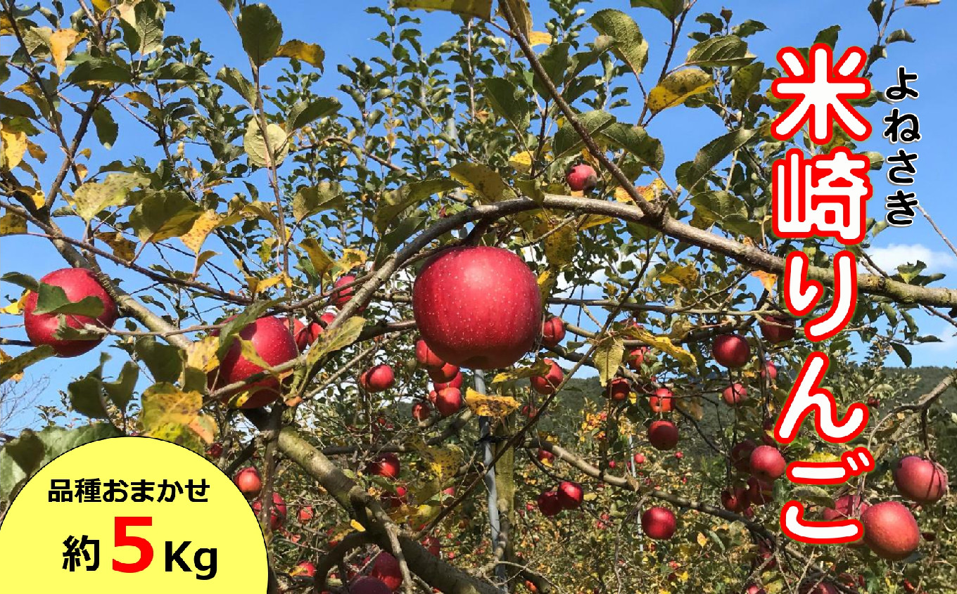 
                  【先行予約 9月頃から発送予定】旬のりんご 約5kg 品種おまかせ 1～2種 熊谷農園【 りんご リンゴ 林檎 フルーツ 果物 贈答 】 RT2071
                
