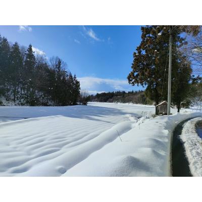 ふるさと納税 阿賀野市 夢の谷ファームのこめ粉 250g×4袋 |  | 03