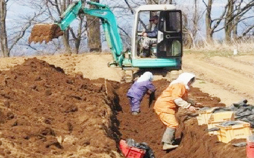 重機でねばり芋を傷つけないようギリギリの場所まで掘り出します。