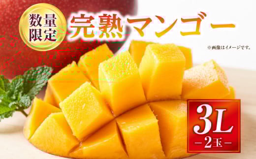 《2026年発送先行予約》【数量・期間限定】完熟マンゴー 3Lサイズ 2玉_M354-002-03