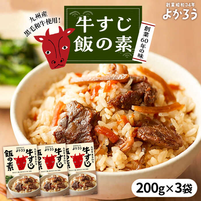 【ふるさと納税】牛すじ飯の素 セット 200g×3袋 《豊前市》【有限会社よかろう】[VBA009] ご飯の素 牛すじ飯 牛肉 ゆず 柚子 ピリ辛 九州