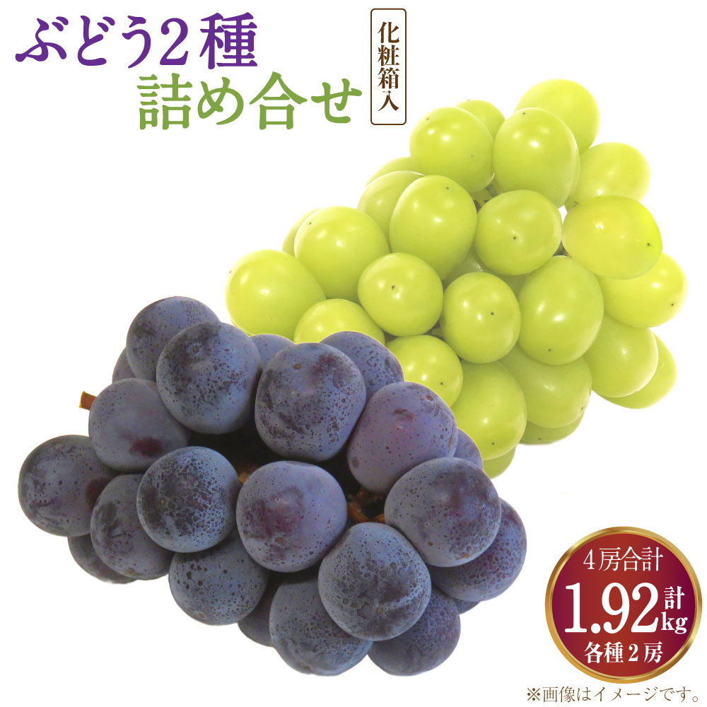 【ふるさと納税】詰合 ニューピオーネ 2房 シャインマスカット 晴王 2房（1房各480g以上）計1.92kg以上 化粧箱入り 【2026年9月上旬～10月上旬迄発送予定】 2種 セット ぶどう 葡萄 マスカット ピオーネ 種なし 果物 くだもの フルーツ 冷蔵 国産 岡山県 奈義町 送料無料