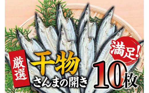 干物セット 満足の内容量！さんまの開き10枚セット ／ ひもの 詰め合わせ 干物 さんま サンマ【sio116】