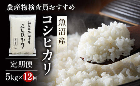 農産物検査員お奨め 魚沼産 こしひかり 精米 5kg 12ヶ月 連続お届け （ 米 定期便 コシヒカリ お米 定期 新潟 魚沼 魚沼産コシヒカリ 魚沼産こしひかり こめ コメ おこめ 白米 お楽しみ 12回 ） 新潟県 