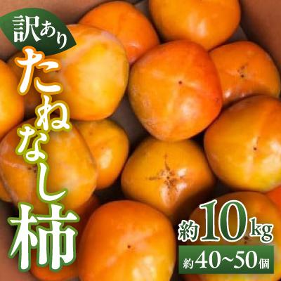 ふるさと納税 五條市 【訳あり】たねなし柿 約10kg (約40〜50個)