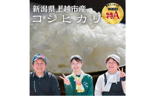【先行予約10月中旬より順次出荷】令和7年 新潟県産コシヒカリ 5kg 上越市清里区 新潟 精米 従来品種 希少 限定	