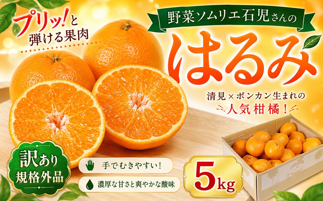 
                  【訳あり・規格外品】野菜ソムリエ石児さんの「はるみ 5kg」 ミカン みかん 蜜柑 柑橘 5kg 5キロ 柑橘類 はるみ はるみみかん 訳あり フルーツ 先行予約 ＜103-011＞
                