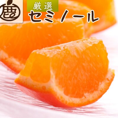 厳選 セミノールオレンジ1kg+250g(傷み補償分)【春みかん】【有田産】【光センサー食べ頃出荷】【配送不可地域：離島・北海道・沖縄】【1651274】